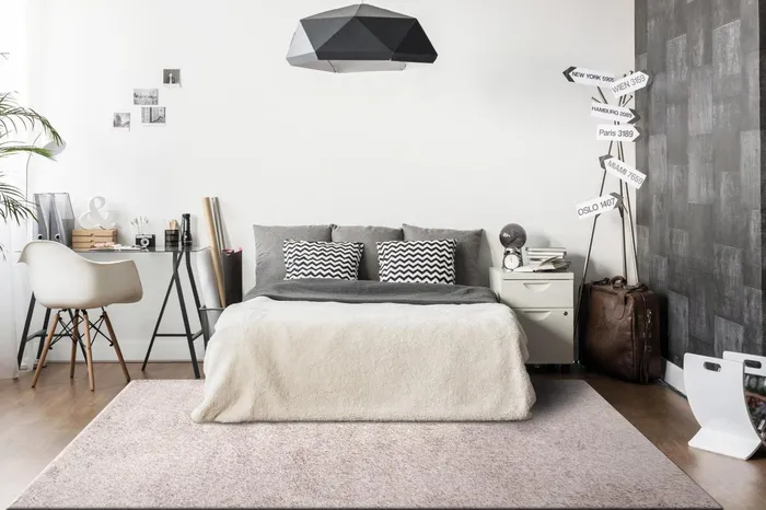 Anne Klein The Plush Modern Solid Rug Collection Beige Women Home