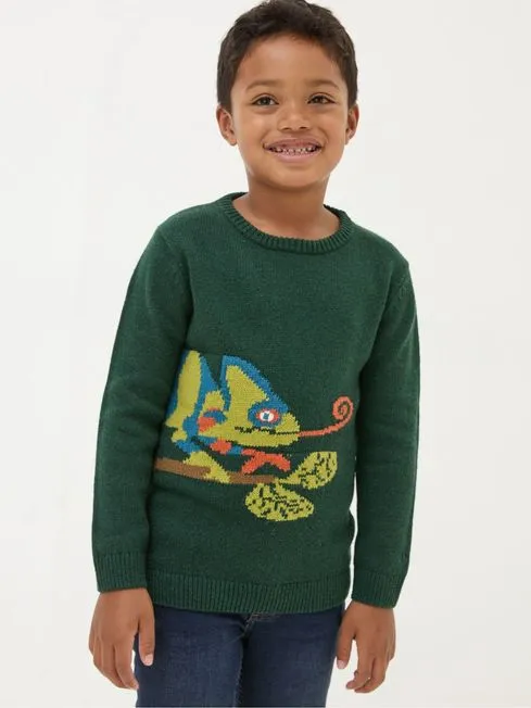 Boys Fatface Knitwear Green Chameleon Jumper