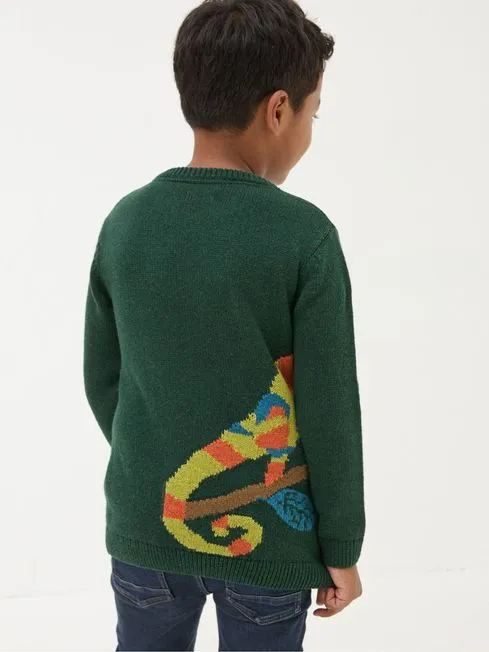 Boys Fatface Knitwear Green Chameleon Jumper