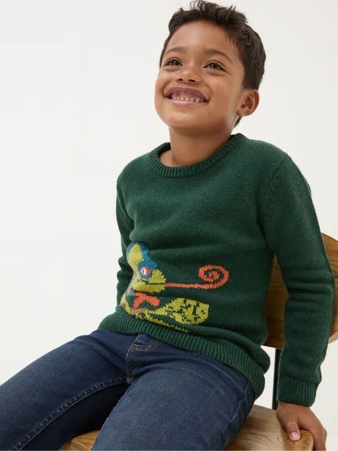 Boys Fatface Knitwear Green Chameleon Jumper