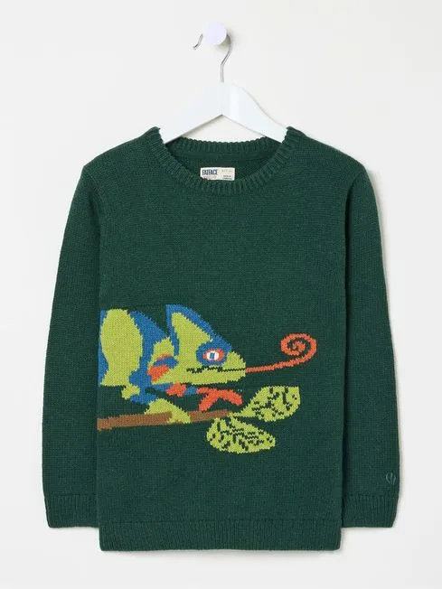 Boys Fatface Knitwear Green Chameleon Jumper