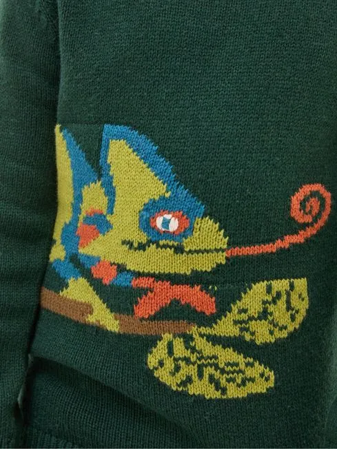 Boys Fatface Knitwear Green Chameleon Jumper