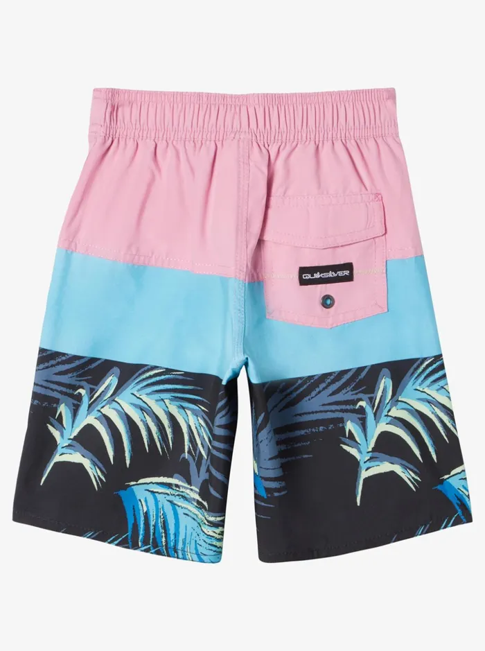 Boys Quiksilver Boardshorts Boy039s 27 Everyday Panel 14034 Boardshorts Moonlite Mauve Boys Quiksilver Boardshorts Boy039s 27 Everyday Panel 14034 Boardshorts Moonlite Mauve