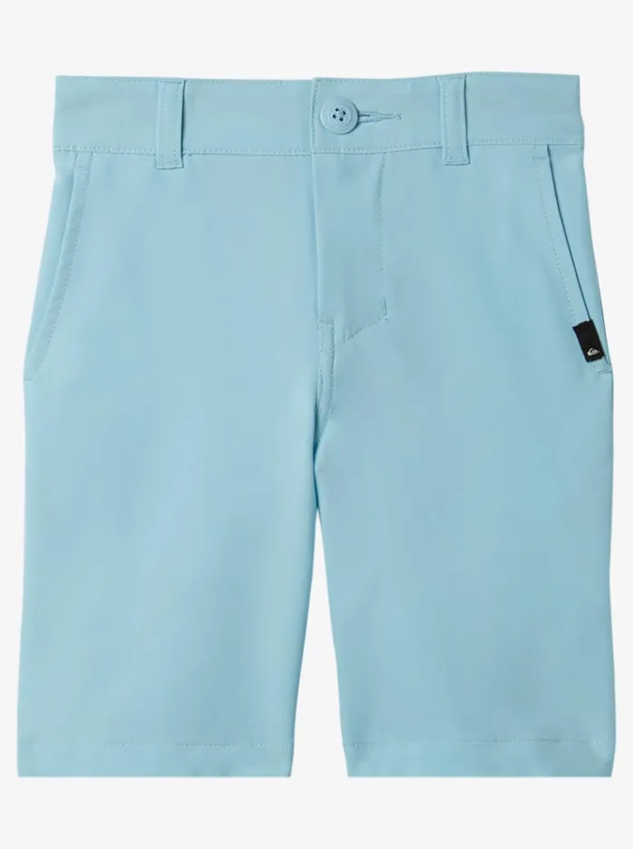 Boys Quiksilver Shorts Boy039s 27 Ocean Union 14034 Amphibian Boardshorts Sky Blue