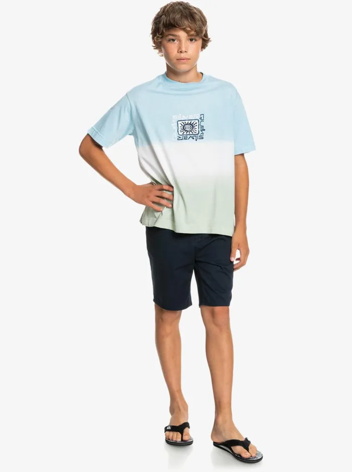 Boys Quiksilver Shorts Boy039s 816 Everyday 17034 Chino Shorts Navy Blazer Boys Quiksilver Shorts Boy039s 816 Everyday 17034 Chino Shorts Navy Blazer