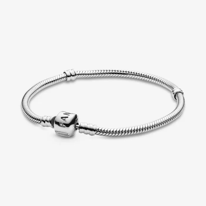 Charm Bracelets Women Pandora Sister Heart Charm And Bracelet Gift Set
