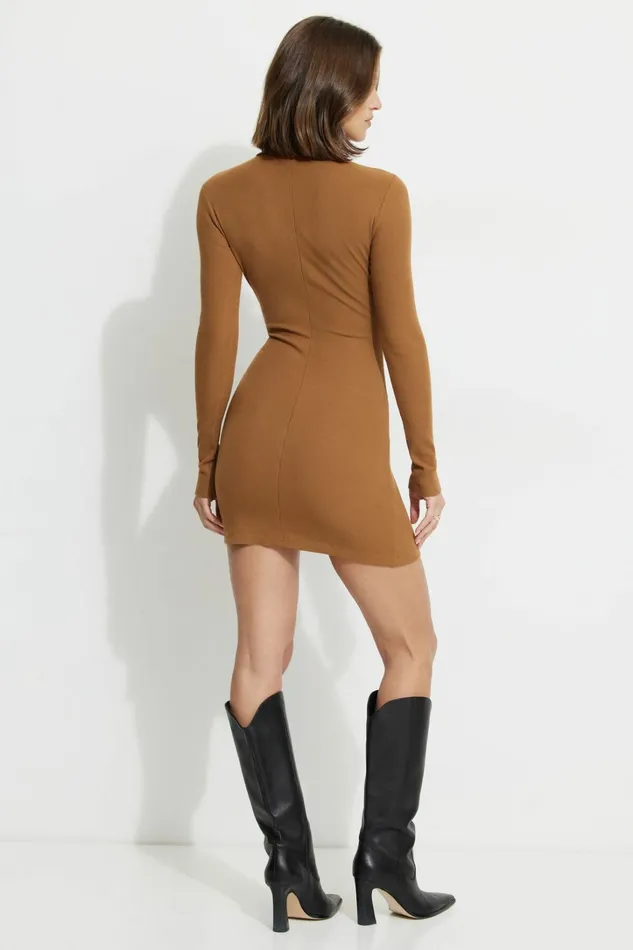Dynamite Dresses and Jumpsuits Women Isabella Turtleneck Mini Dress Brown