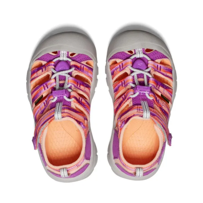 Kids KEEN Playground Little Kids039 Newport H2 WillowherbTangerine Sandal