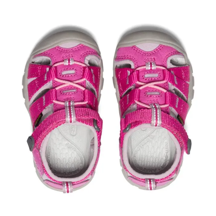 Kids KEEN Playground Toddlers039 Water Sandals 8211 Seacamp II CNX Kids KEEN Playground Toddlers039 Water Sandals 8211 Seacamp II CNX