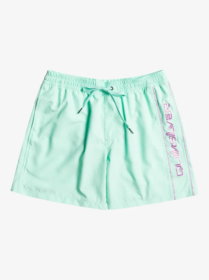Men Quiksilver Boardshorts Everyday Vert 16034 Volleys Beach Glass