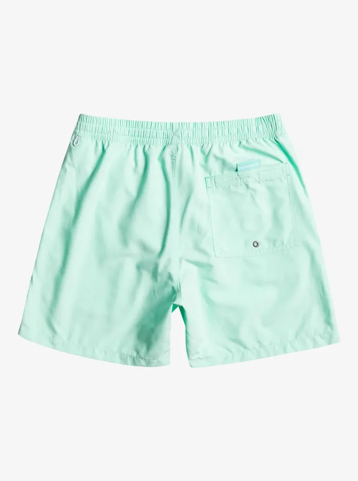 Men Quiksilver Boardshorts Everyday Vert 16034 Volleys Beach Glass Men Quiksilver Boardshorts Everyday Vert 16034 Volleys Beach Glass