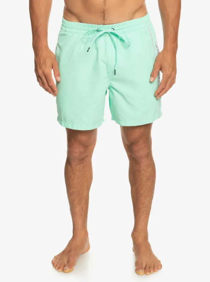 Men Quiksilver Boardshorts Everyday Vert 16034 Volleys Beach Glass Men Quiksilver Boardshorts Everyday Vert 16034 Volleys Beach Glass