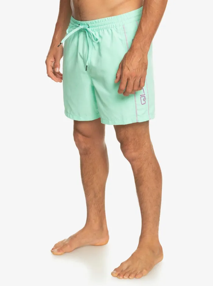 Men Quiksilver Boardshorts Everyday Vert 16034 Volleys Beach Glass Men Quiksilver Boardshorts Everyday Vert 16034 Volleys Beach Glass