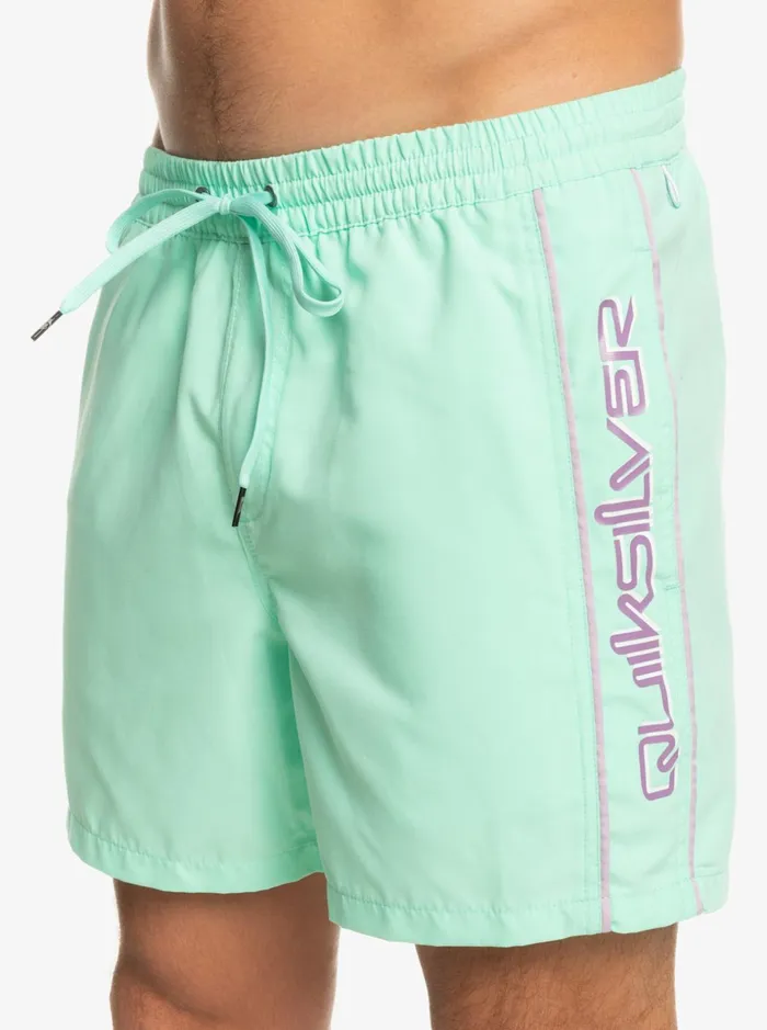 Men Quiksilver Boardshorts Everyday Vert 16034 Volleys Beach Glass Men Quiksilver Boardshorts Everyday Vert 16034 Volleys Beach Glass