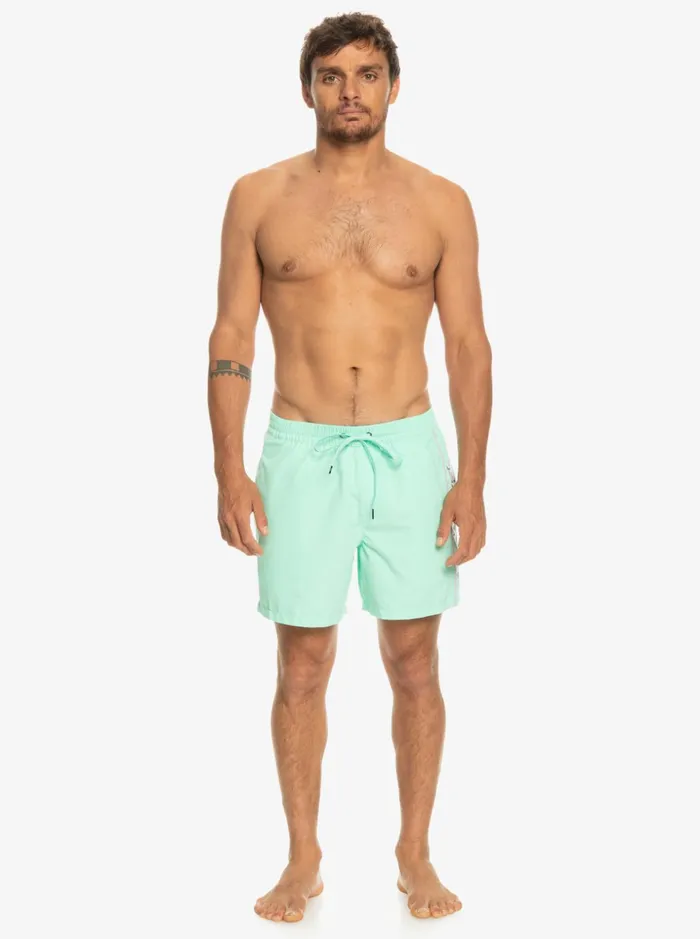 Men Quiksilver Boardshorts Everyday Vert 16034 Volleys Beach Glass Men Quiksilver Boardshorts Everyday Vert 16034 Volleys Beach Glass