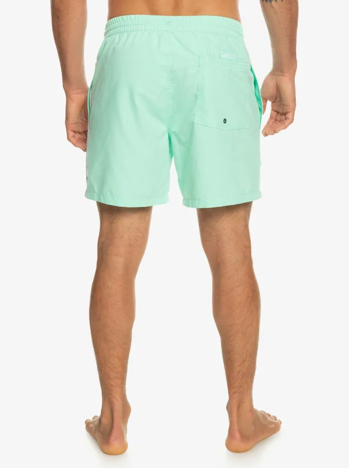 Men Quiksilver Boardshorts Everyday Vert 16034 Volleys Beach Glass Men Quiksilver Boardshorts Everyday Vert 16034 Volleys Beach Glass