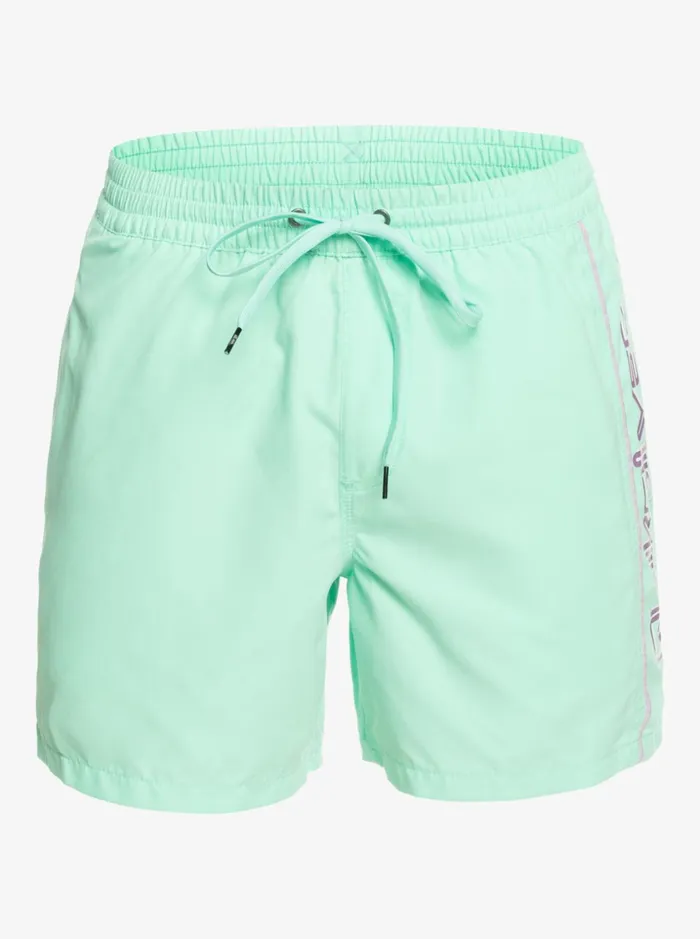 Men Quiksilver Boardshorts Everyday Vert 16034 Volleys Beach Glass Men Quiksilver Boardshorts Everyday Vert 16034 Volleys Beach Glass