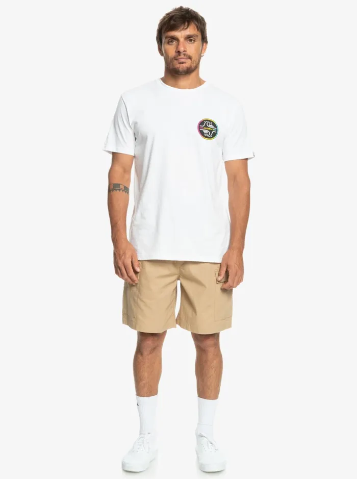 Men Quiksilver Shorts and Amphibians Cargo Taxer Elastic Waist 19034 Shorts Plage Men Quiksilver Shorts and Amphibians Cargo Taxer Elastic Waist 19034 Shorts Plage