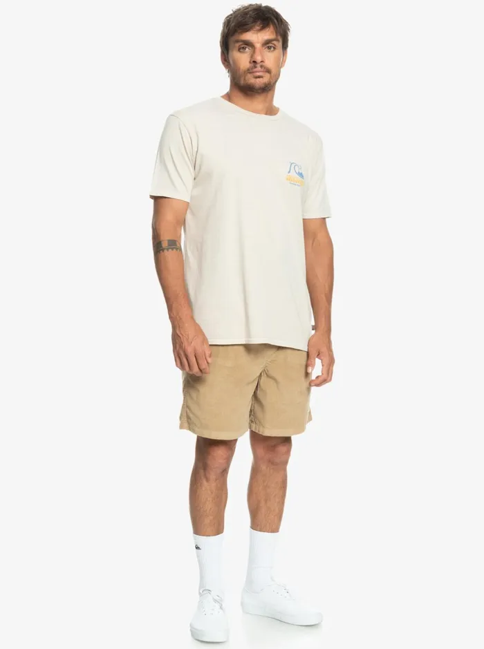 Men Quiksilver Shorts and Amphibians Taxer Cord Shorts Plage Men Quiksilver Shorts and Amphibians Taxer Cord Shorts Plage