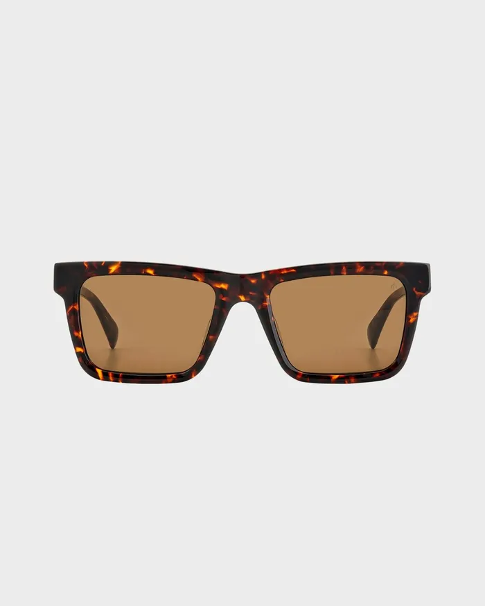 Men Rag and Bone Sunglasses Warren Havana Men Rag and Bone Sunglasses Warren Havana