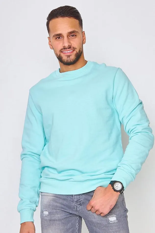 Men Sweatshirt In Plain Sea Green Green Brentiny Paris Sweatshirts and Pullovers