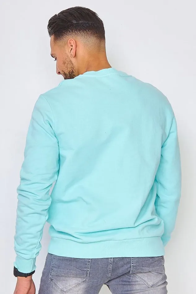Men Sweatshirt In Plain Sea Green Green Brentiny Paris Sweatshirts and Pullovers