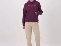 Powerblend Hoodie Script Logo New Palatinate Blue Women Champion Hoodies and Sweatshirts