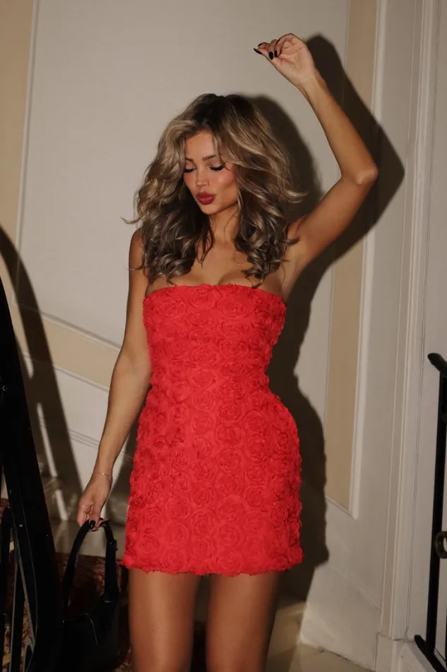 Runaway The Label Evening Dresses ROSALINE MINI DRESS Red 8211 Women