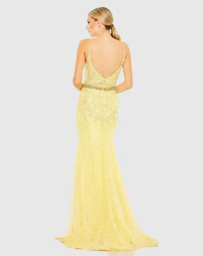 Women Evening Gowns Mac Duggal Applique Sleeveless Plunge Neck Trumpet Gown Lemon