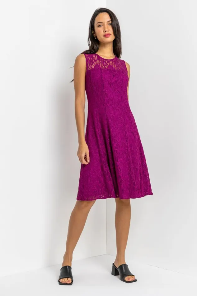 Women Magenta Glitter Lace Fit And Flare Dress Roman Dresses