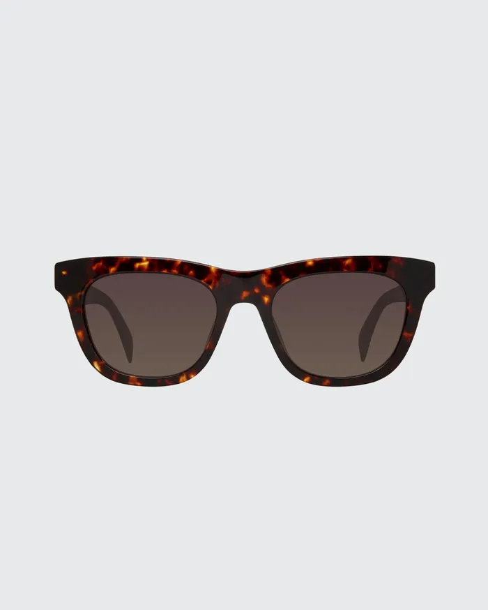 WomenMen Rag and Bone Sunglasses Perry Havana WomenMen Rag and Bone Sunglasses Perry Havana