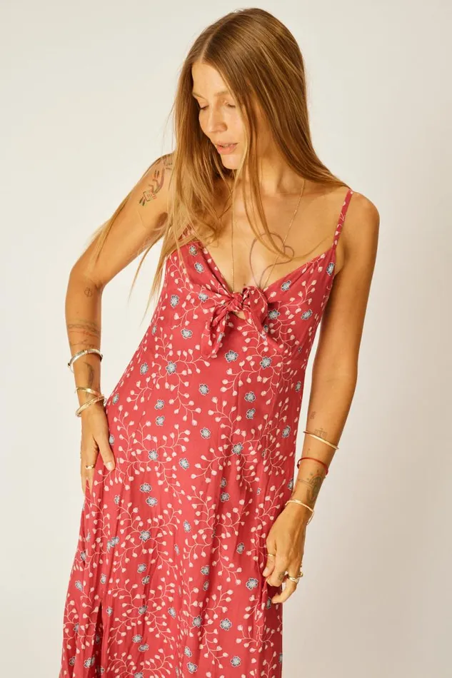 Women Natalie Martin Dresses Sophie Dress Pinwheel Barn Red