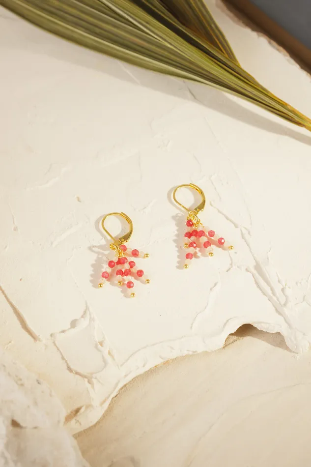 Women Paradis SantalMango Earrings Des Petits Hauts Jewellery Dph X Feeka